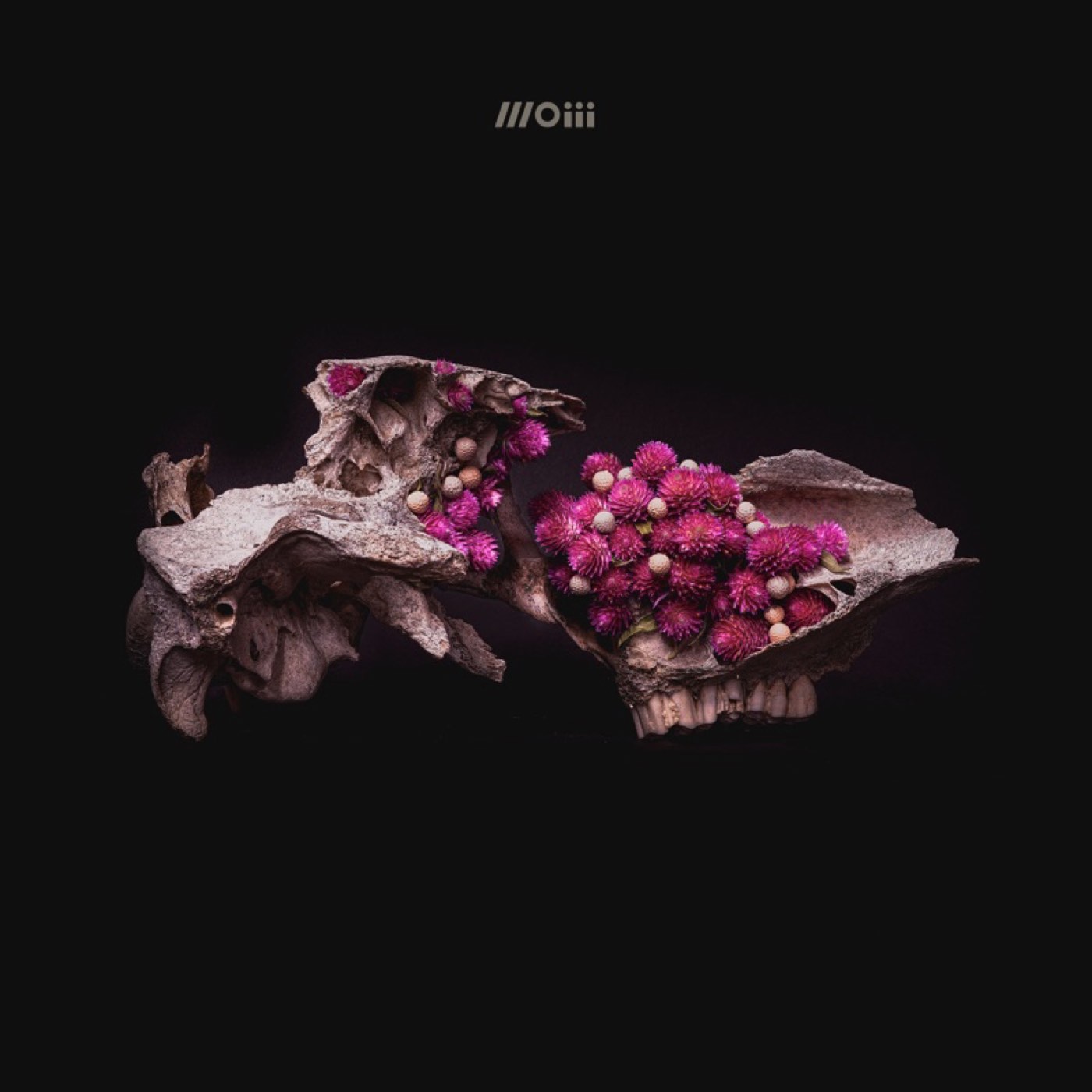 Moiii self-titled cover