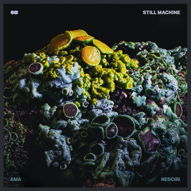 Ama Nesciri cover art