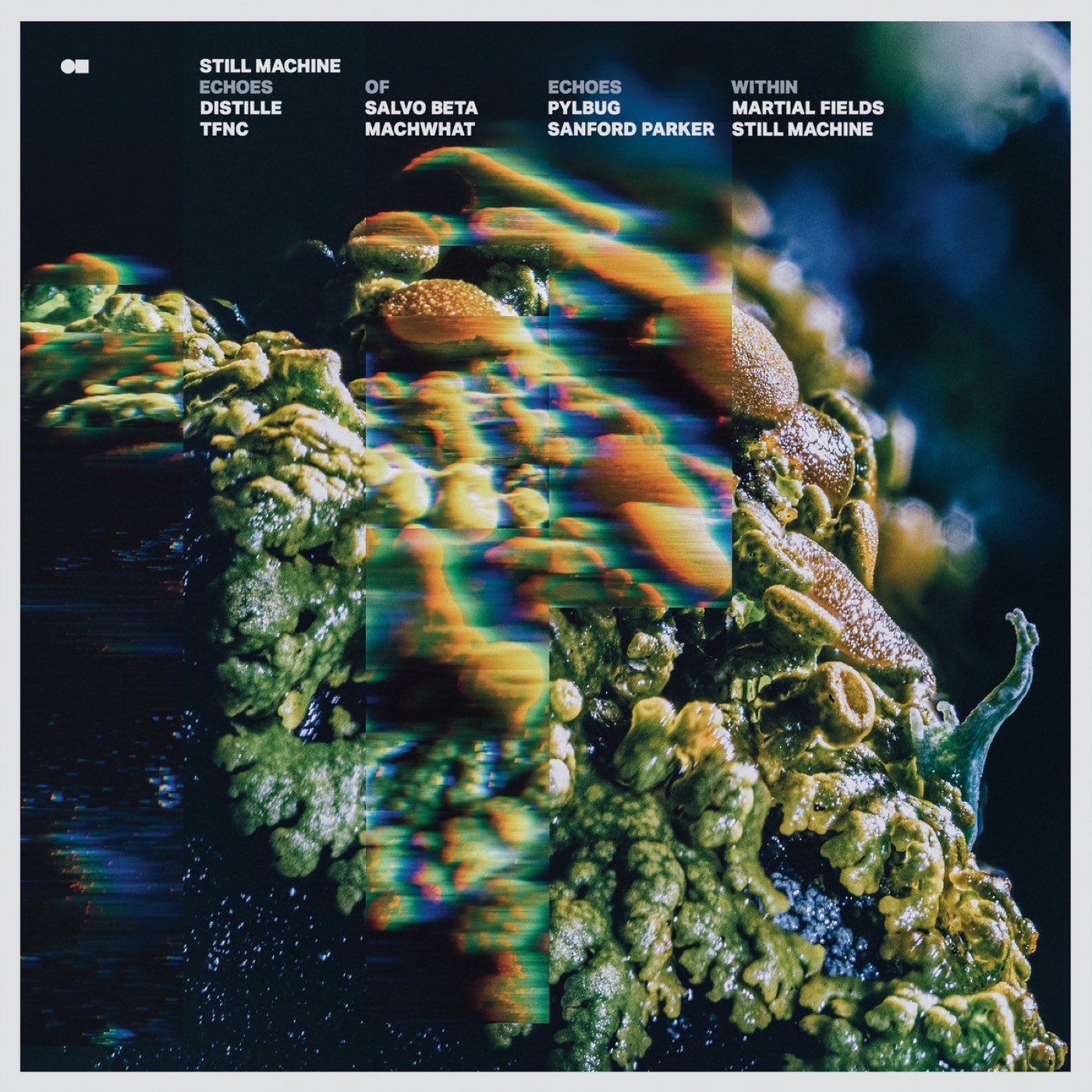 Echoes of Echoes Within cover art