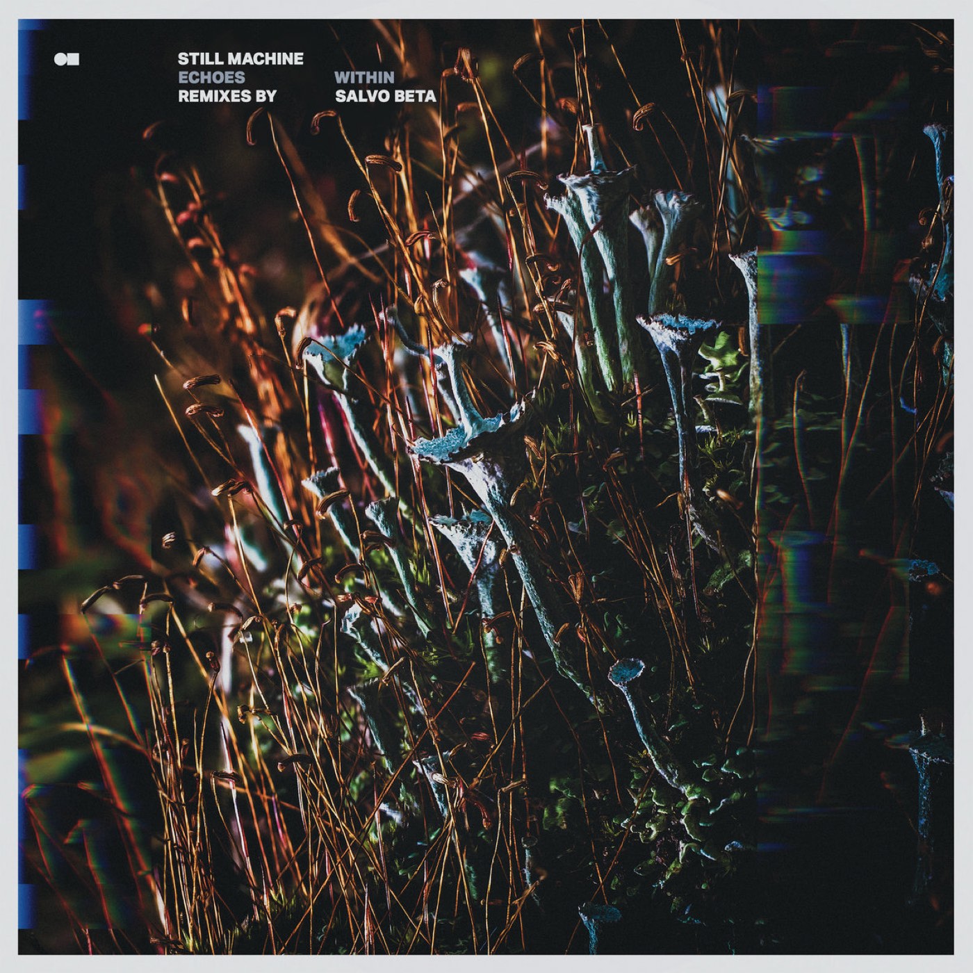 Remixes By Salvo Beta cover art